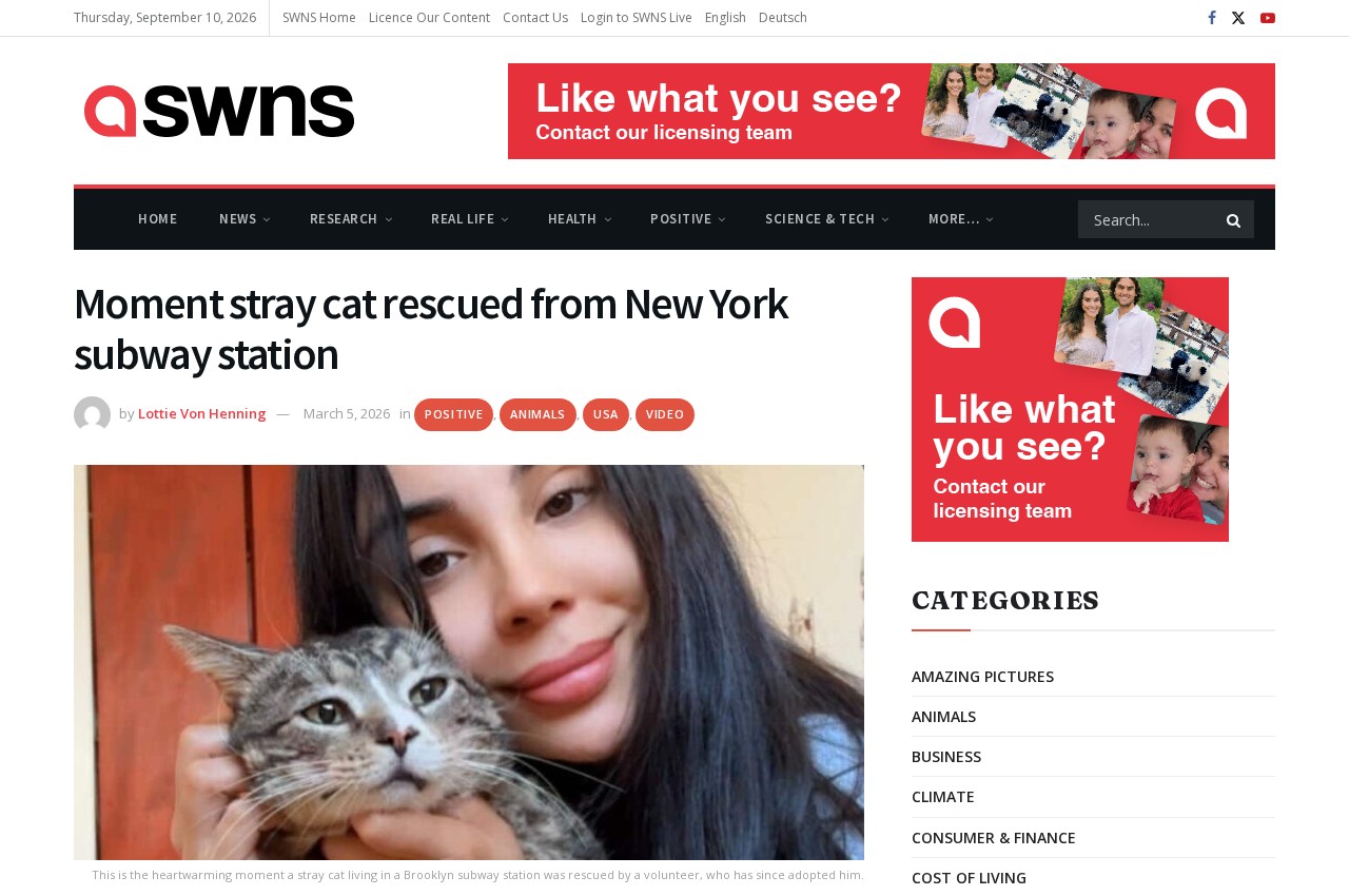 Preview of the Discover SWNS article about a stray cat rescued from a New York subway station